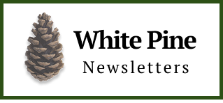 White Pine Websites Logo